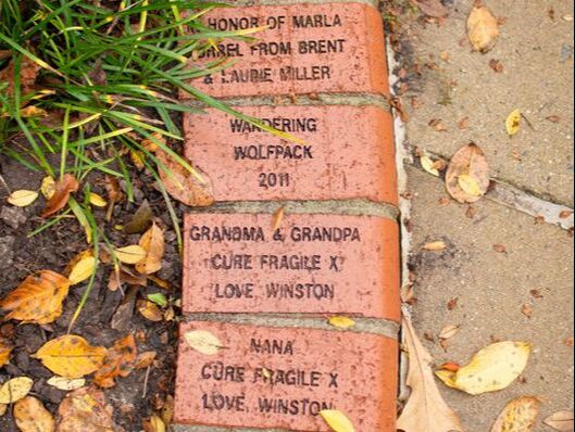 Engraved bricks commemorating donors and supporters of Kids Together Playground.